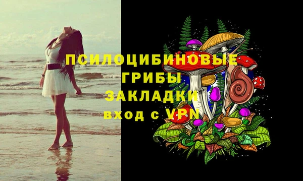 метадон Белокуриха