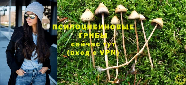амф Пересвет