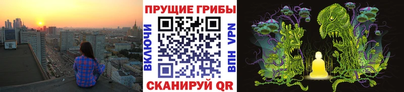 даркнет сайт  это телеграм  Псилоцибиновые грибы Psilocybe  Барабинск 